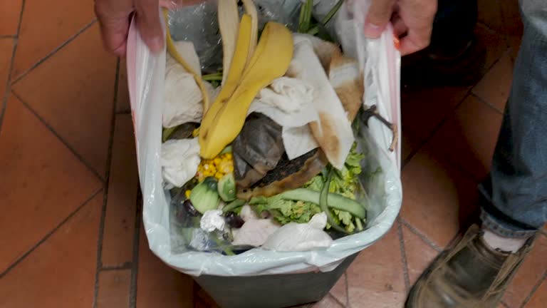 Reliable Victory Gardens, NJ Junk Removal Services Solutions
